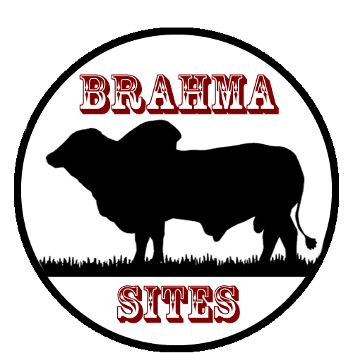 BrahmaSites_logo1